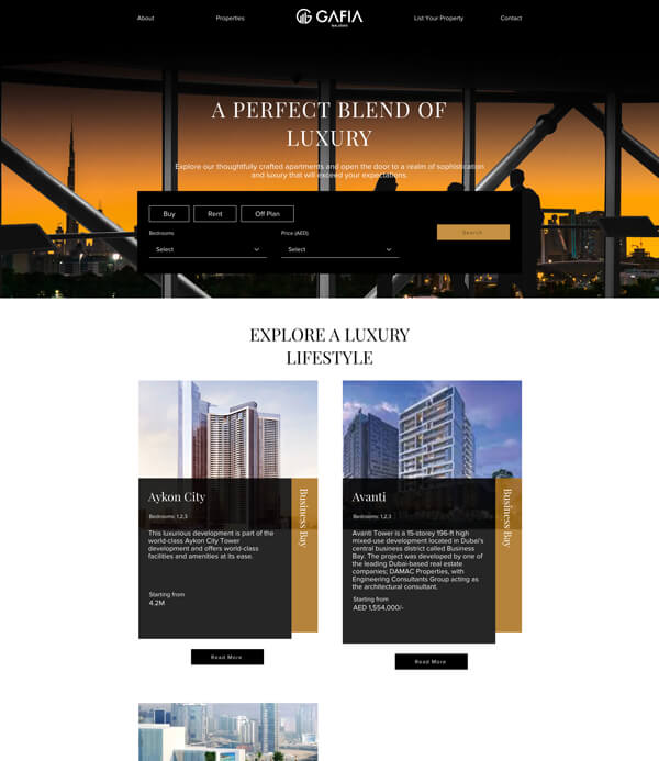 Portfolio Image